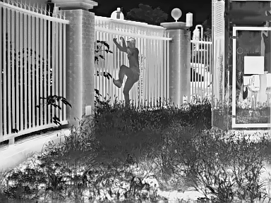 Security Surveillance